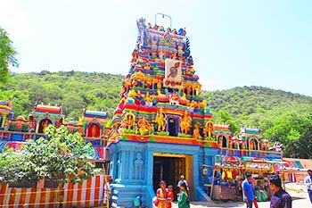 Pazhamudhircholai Murugan Temple